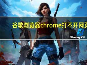 谷歌浏览器chrome打不开网页