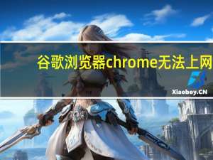 谷歌浏览器chrome无法上网