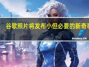 谷歌照片将发布小但必要的新奇事物