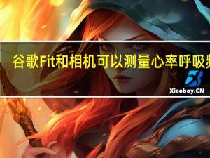 谷歌Fit和相机可以测量心率呼吸频率