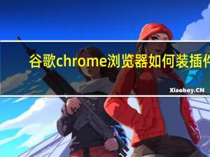 谷歌chrome浏览器如何装插件