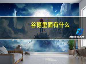 谷穗里面有什么
