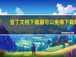 豆丁文档下载器可以免得下载吗（豆丁文档下载器）