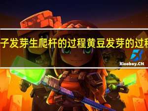 豆子发芽生爬杆的过程 黄豆发芽的过程七天图