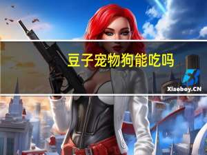 豆子宠物狗能吃吗