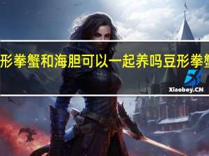 豆形拳蟹和海胆可以一起养吗 豆形拳蟹能吃吗