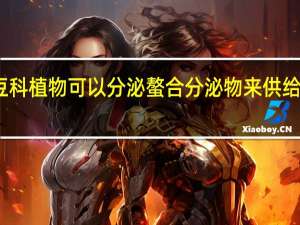 豆科植物可以分泌螯合分泌物来供给玉米吧？