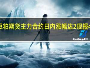 豆粕期货主力合约日内涨幅达2%现报4019元/吨