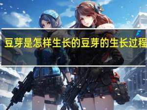 豆芽是怎样生长的 豆芽的生长过程观察