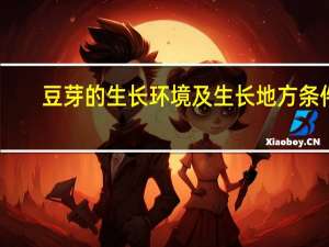 豆芽的生长环境及生长地方条件