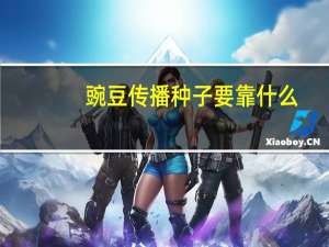 豌豆传播种子要靠什么
