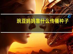 豌豆妈妈靠什么传播种子