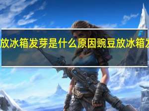 豌豆放冰箱发芽是什么原因 豌豆放冰箱发芽能吃吗