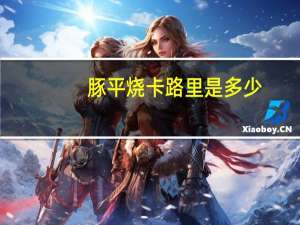 豚平烧卡路里是多少