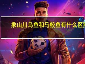 象山川乌鱼和马鲛鱼有什么区别