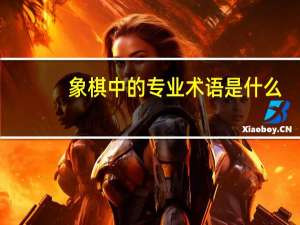 象棋中的专业术语是什么