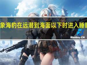 象海豹在远潜到海面以下时进入睡眠状态