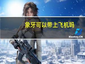 象牙可以带上飞机吗