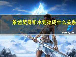 象齿焚身和水到渠成什么关系（象齿焚身）
