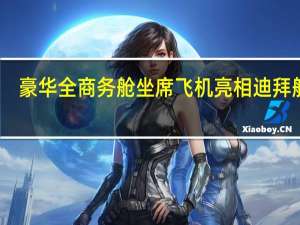 豪华全商务舱坐席飞机亮相迪拜航展：带酒吧和浴室