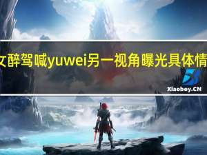 豪车女醉驾喊yuwei另一视角曝光 具体情况是怎样的
