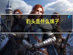 豹头是什么牌子
