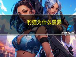 豹猫为什么禁养