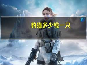 豹猫多少钱一只