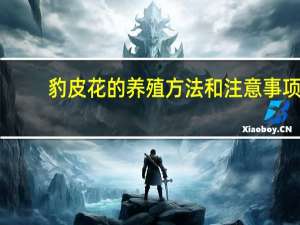 豹皮花的养殖方法和注意事项