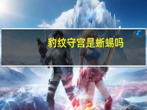 豹纹守宫是蜥蜴吗