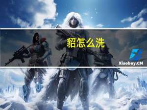 貂怎么洗