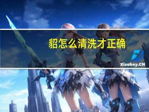 貂怎么清洗才正确