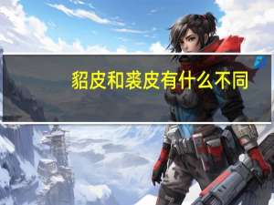 貂皮和裘皮有什么不同