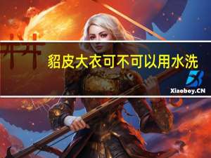 貂皮大衣可不可以用水洗