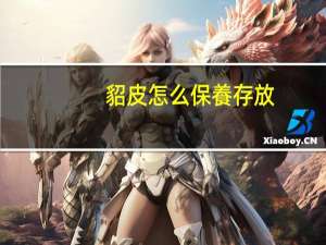 貂皮怎么保養存放