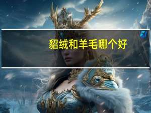 貂绒和羊毛哪个好
