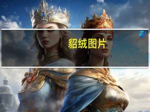 貂绒图片（貂绒）