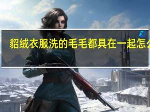 貂绒衣服洗的毛毛都具在一起怎么办
