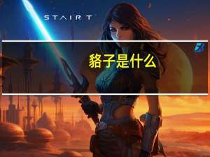 貉子是什么