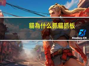 貓為什么抓貓抓板