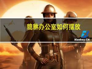 貔貅办公室如何摆放
