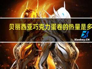 贝丽西亚 巧克力蛋卷的热量是多少