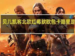 贝儿凯客 北欧红莓软欧包卡路里是多少