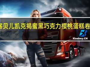 贝儿凯客 贝儿凯克 揭蜜黑巧克力樱桃蛋糕卷的热量是多少