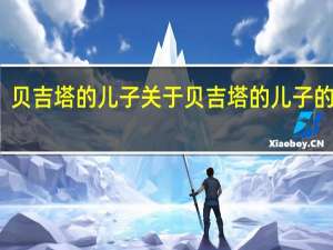 贝吉塔的儿子 关于贝吉塔的儿子的介绍