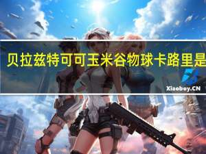 贝拉兹特 可可玉米谷物球卡路里是多少