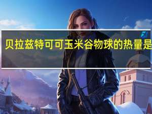 贝拉兹特 可可玉米谷物球的热量是多少