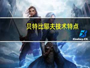 贝特比耶夫技术特点
