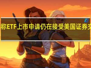 贝莱德集团称ETF上市申请仍在接受美国证券交易委员会（SEC）的审查