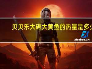 贝贝乐  大礁大黄鱼的热量是多少